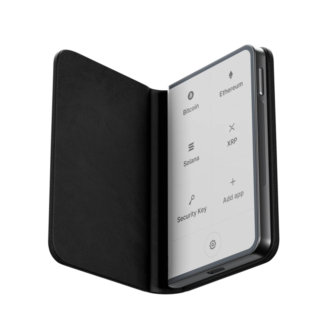Ledger device visual